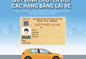Cập nhật các loại bằng lái xe ô tô năm 2025: Có gì thay đổi?