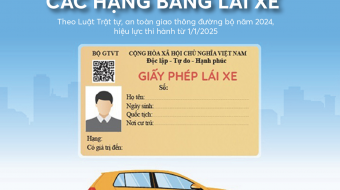 Cập nhật các loại bằng lái xe ô tô năm 2025: Có gì thay đổi?