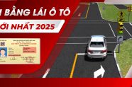 Thi Lái Xe Ô Tô Gồm Những Gì? Cập Nhật Luật Mới 2025