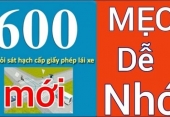 Vì sao cần ôn luyện kỹ phần lý thuyết lái xe ô tô?